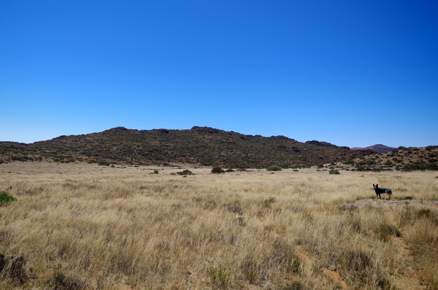 4 Bedroom Property for Sale in Middelburg Rural Eastern Cape